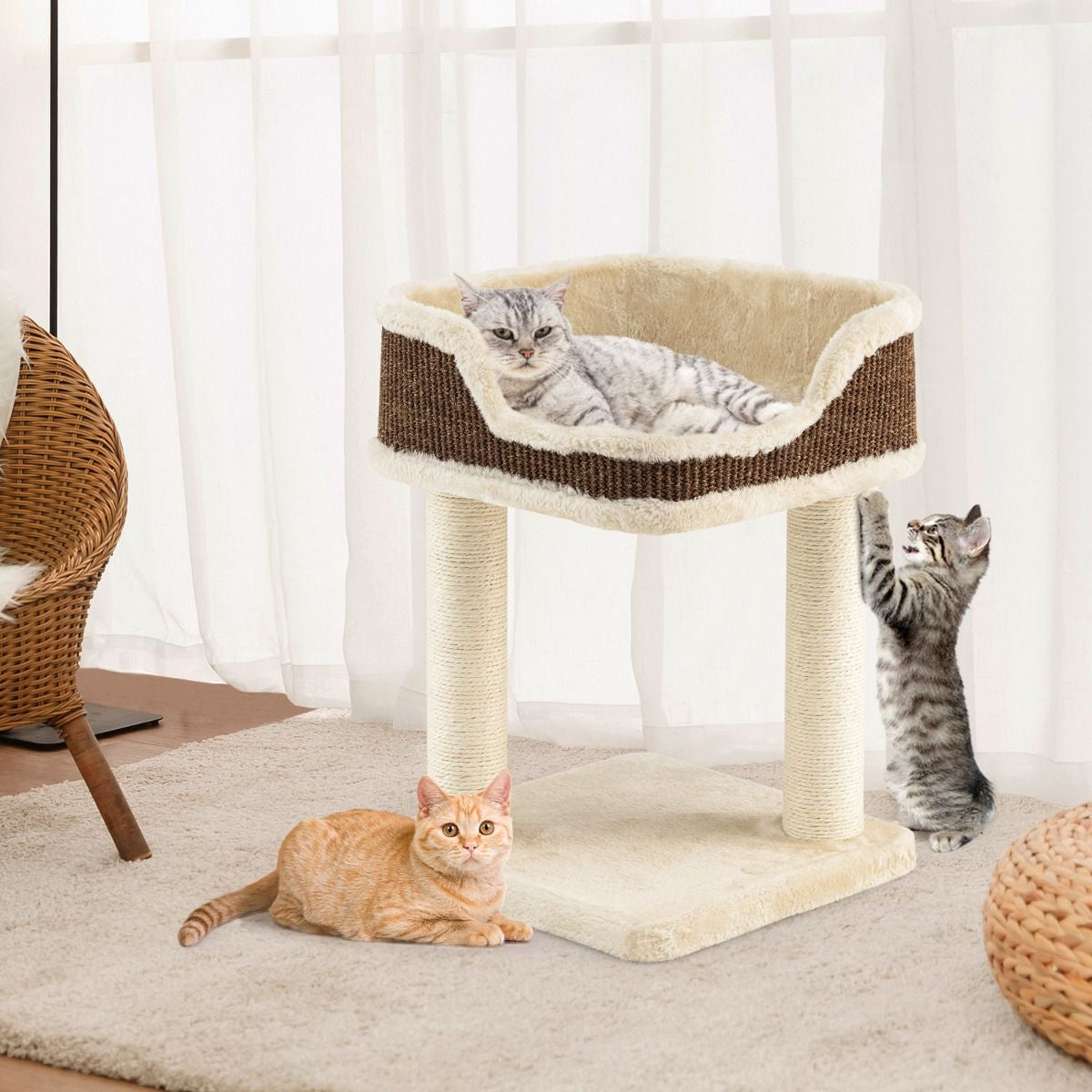 Arbre à Chat Compact avec Perchoir Douillet et Griffoirs - Gris/Beige
