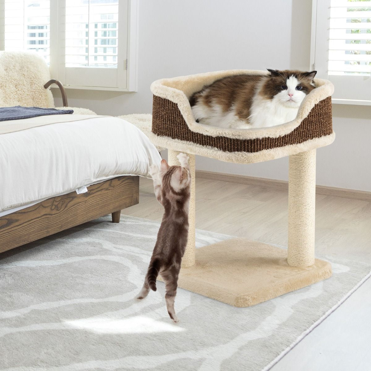 Arbre à Chat Compact avec Perchoir Douillet et Griffoirs - Gris/Beige