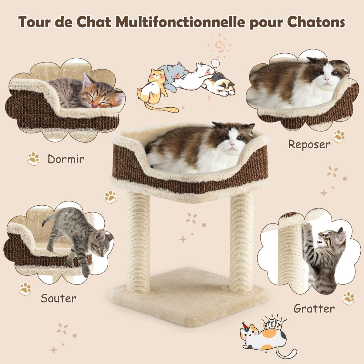 Arbre à Chat Compact avec Perchoir Douillet et Griffoirs - Gris/Beige