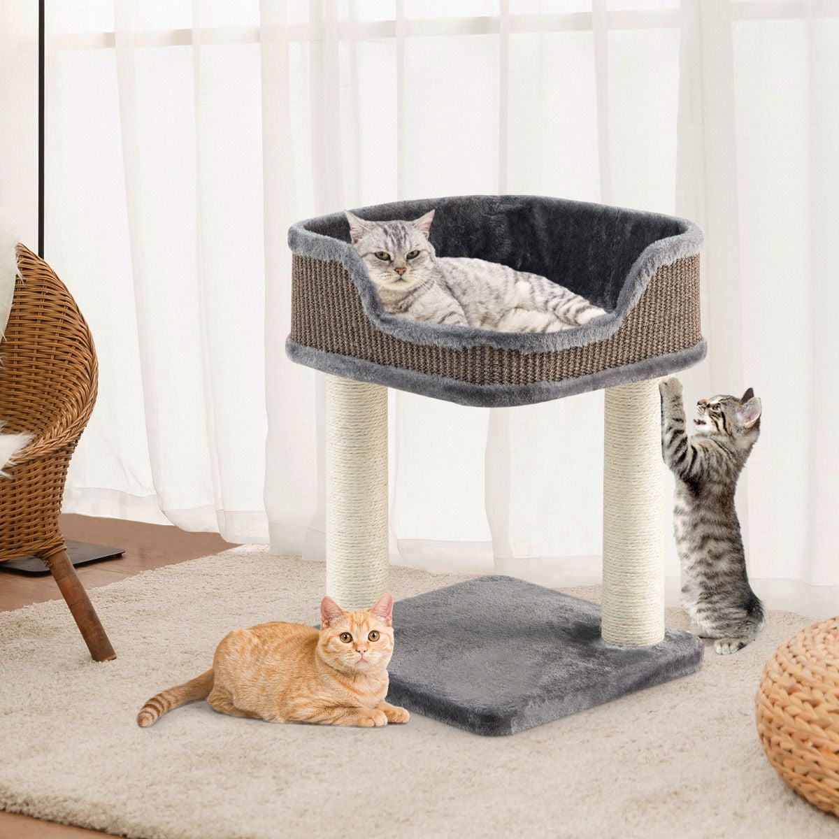 Arbre à Chat Compact avec Perchoir Douillet et Griffoirs - Gris/Beige